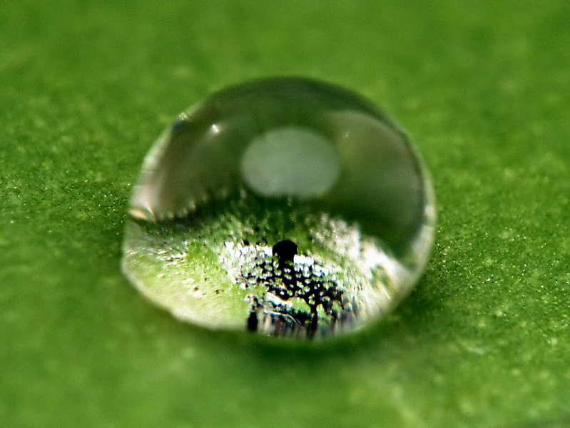 gouttes de pluie-08.jpg